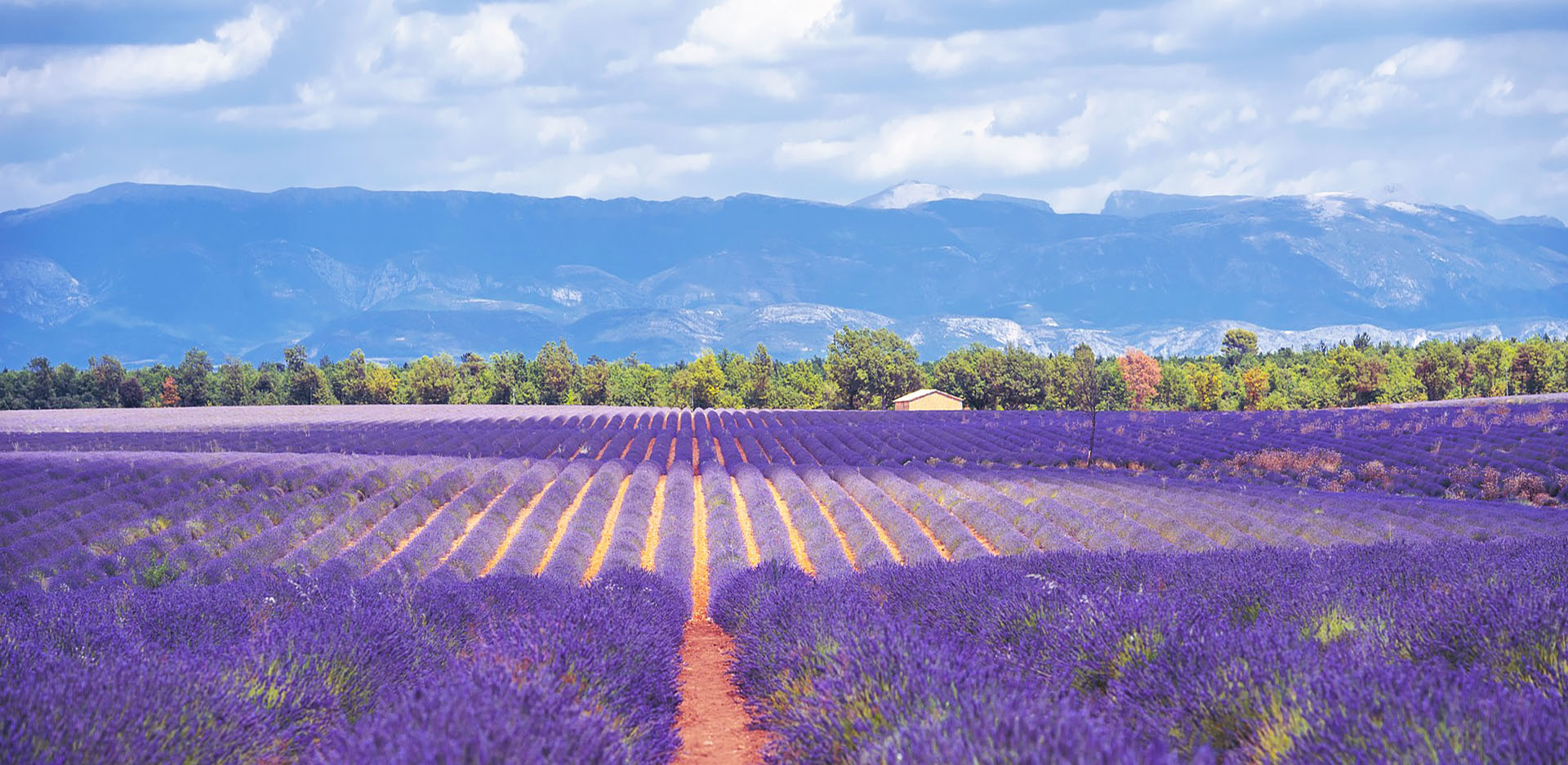 Viaggio in Provenza