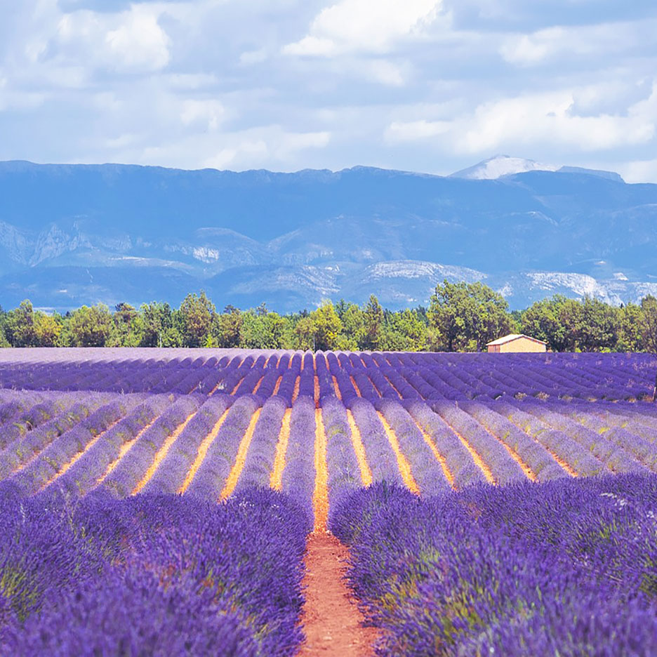Viaggio in Provenza