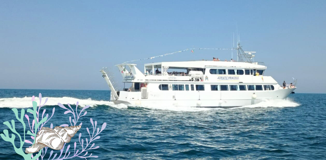 Viaggio in crociera sull'adriatico