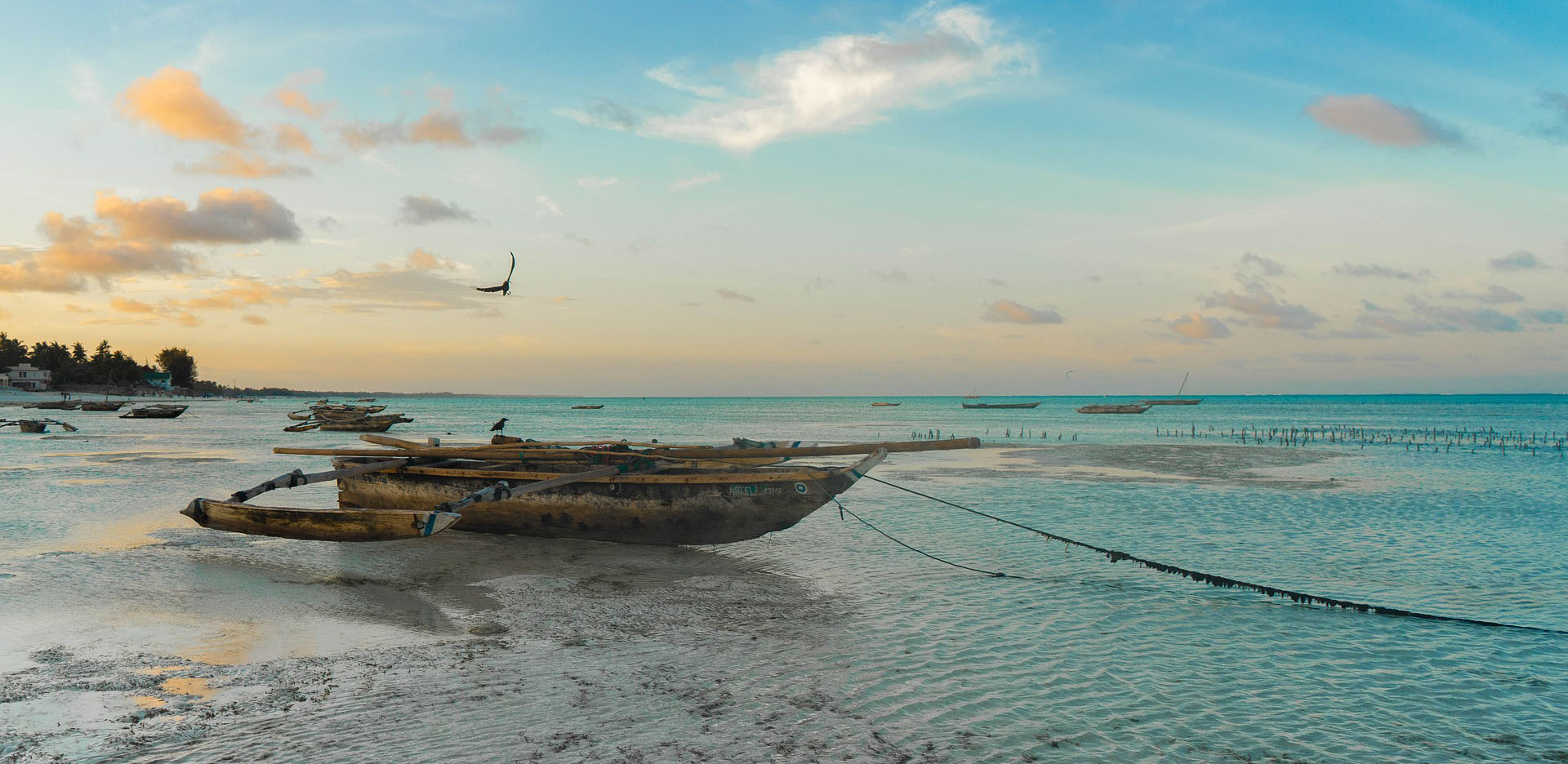 Zanzibar