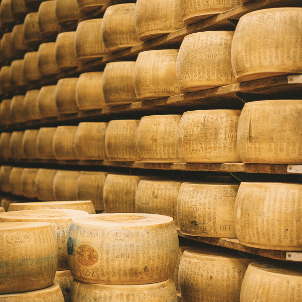 Parmigiano Reggiano - prodotto tipico dell'Emilia 