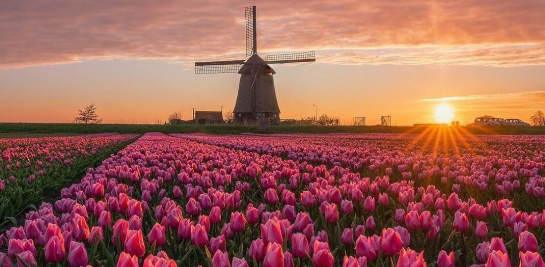 viaggio in Olanda