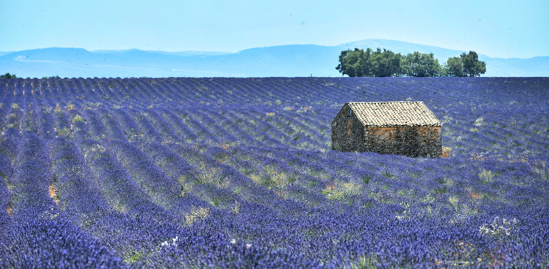 viaggio in Provenza