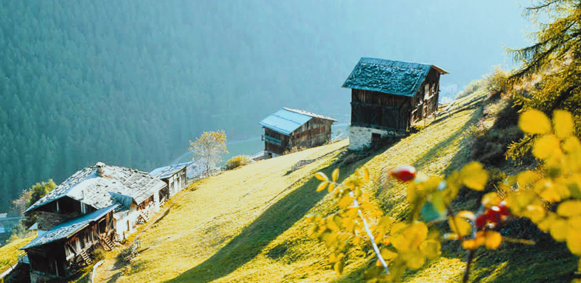 Val di Rabbi